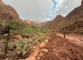 Reportan 15 desaparecidos por inundación en Gran Cañón en EU