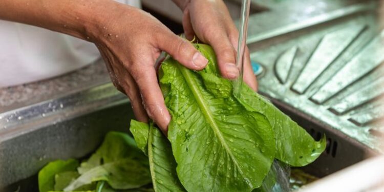 SESA Querétaro emite guías de higiene en alimentos para prevenir enfermedades