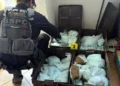 Aseguran 120 kilos de fentanilo en Mexicali
