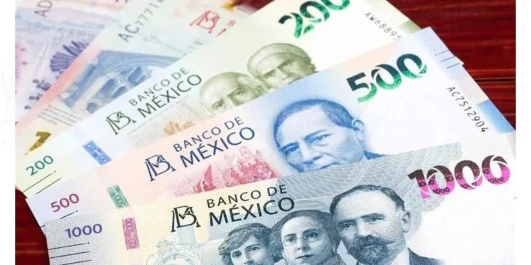 Caen participaciones federales en estados