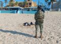 Semar y Profepa recuperan unos 10 mil huevos de tortuga golfina en BCS