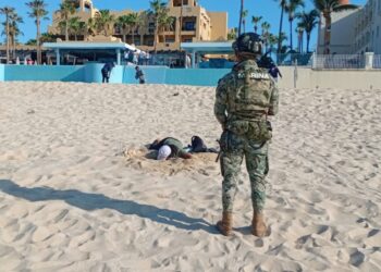 Semar y Profepa recuperan unos 10 mil huevos de tortuga golfina en BCS