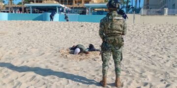 Semar y Profepa recuperan unos 10 mil huevos de tortuga golfina en BCS