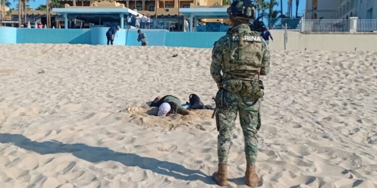Semar y Profepa recuperan unos 10 mil huevos de tortuga golfina en BCS