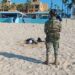 Semar y Profepa recuperan unos 10 mil huevos de tortuga golfina en BCS