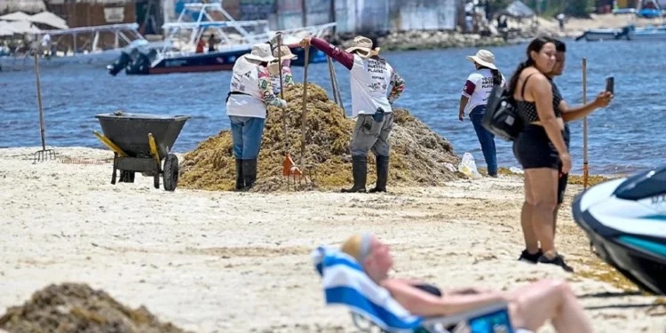 Sitiados por el sargazo