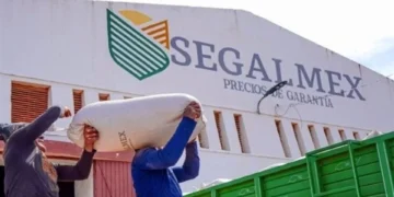 Van por empresarios del caso Segalmex