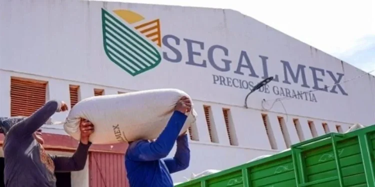 Dan vía libre a FGR contra empresarios por desvío de 800 millones en Segalmex