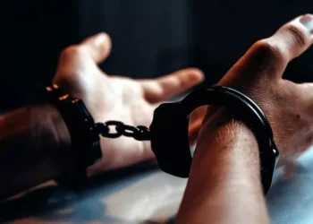 Detienen en Sinaloa a 52 presuntos delincuentes