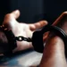 Detienen en Sinaloa a 52 presuntos delincuentes