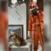 Rescatan Topos Aztecas a perrito entre escombros en Colombia