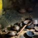 INAH registra 179 piezas arqueológicas en una cueva de Cintalapa, Chiapas