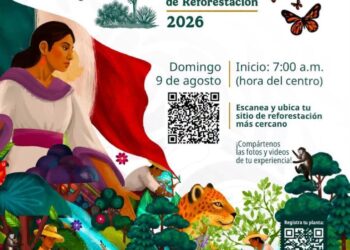 Querétaro se sumará a jornada de reforestación nacional este domingo desde Amealco