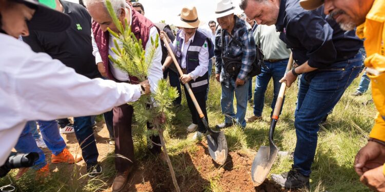 Mil 500 personas se unieron a Jornada Nacional de Reforestación 2026 en Querétaro