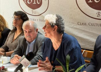 Teresa García Gasca cuestiona uso de rectorías como “trampolines políticos”