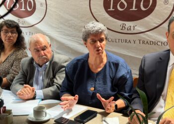 Teresa García Gasca descarta candidatura partidista