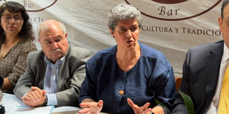 Teresa García Gasca descarta candidatura partidista