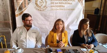 Disminuye demanda de tarimas en Querétaro por menor actividad económica: CANAINMA
