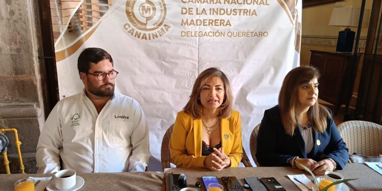 Disminuye demanda de tarimas en Querétaro por menor actividad económica: CANAINMA