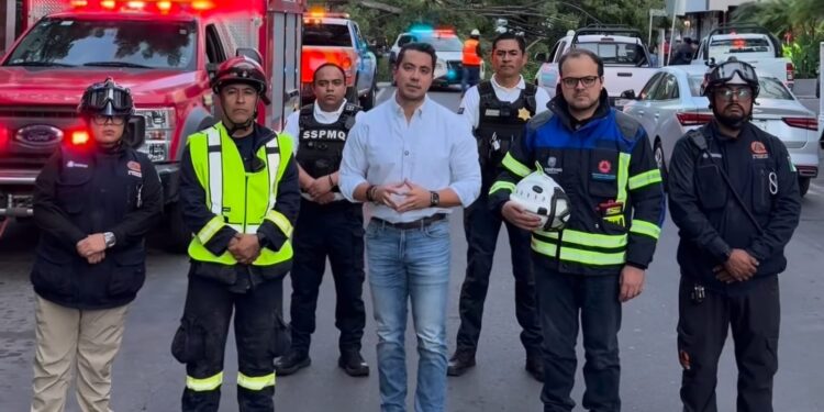 Atiende municipio hasta 4 mil reportes de árboles caídos, en lo que va de la administración
