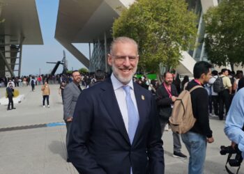 Sedesu y Municipio de Querétaro realizarán inventario de arbolado en la capital