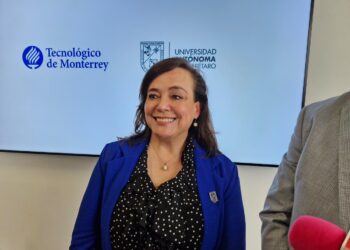 Necesarios perfiles con “calidad moral” para cargos públicos: Silvia Amaya