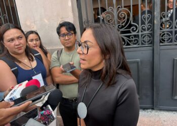 Estiman duración de ocho meses de inventario de arbolado urbano de la capital