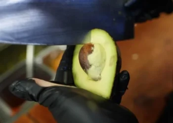Frena EU importación de aguacate michoacano por inseguridad