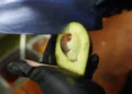 Detienen a ‘el Vikingo’, presunto extorsionador de aguacateros en Michoacán