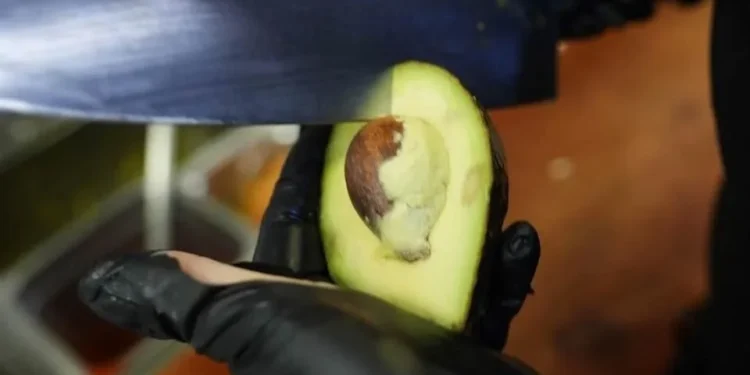 Detienen a ‘el Vikingo’, presunto extorsionador de aguacateros en Michoacán