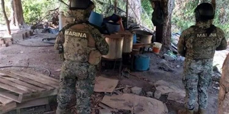 Inhabilitan narcolaboratorio de metanfetamina en Michoacán