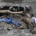 León XIV expresa su pésame por las víctimas y la devastación de la riada masiva en Nepal