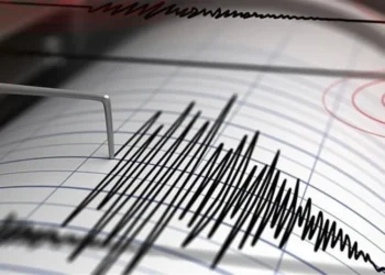 Sacude sismo de 7.7 a Indonesia