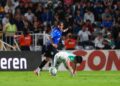 Gallos y León dividen puntos