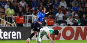Gallos y León dividen puntos