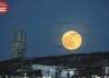 Luna de Cosecha