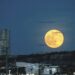 Luna de Cosecha
