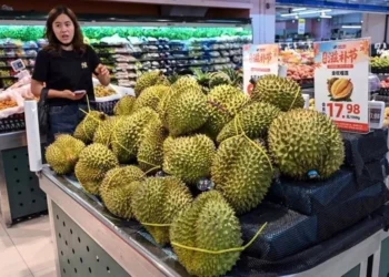 Suben precios de alimentos a máximos desde 2022