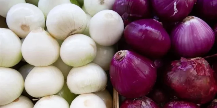 Precio de la cebolla se dispara 70% anual y presiona las fiestas patrias de esta semana