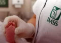Entrega IMSS dos recién nacidas a familias equivocadas