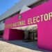 INE claudicó a arbitrar elecciones: Consejero Castillo
