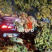 Fatal accidente en Paseo de la República