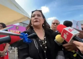Rechaza Taddei que colores del INE estén ligados a Brugada
