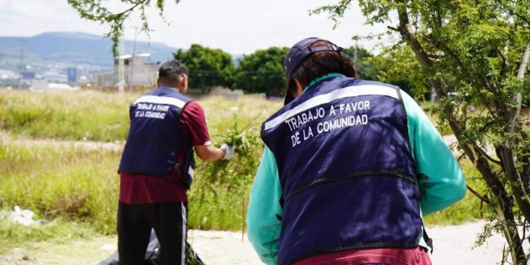 Justicia Cívica reporta repunte de 24% en atención a faltas administrativas en el estado