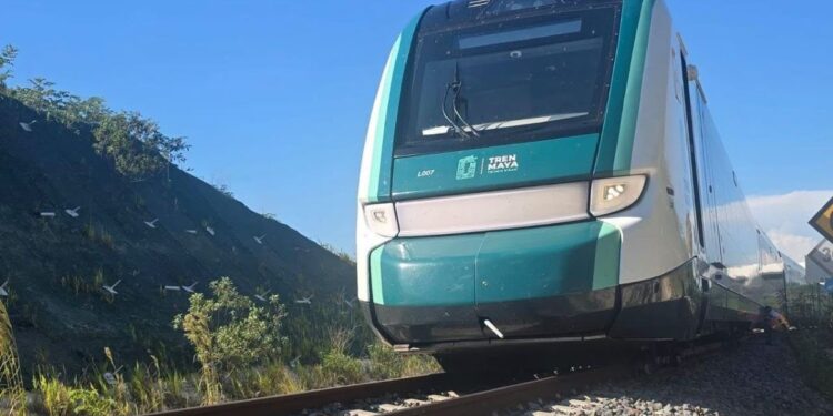 Tren Maya sufre percance de vía en Campeche e investigan causas