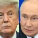 Afirman que Trump dijo a Putin que quiere que guerra termine