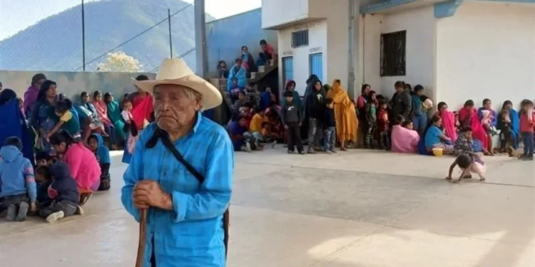 INEGI revela que 1.6 millones de mexicanos fueron desplazados por la violencia entre 2020 y 2025