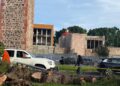 Cae viejo pirul en Calzada de Los Arcos