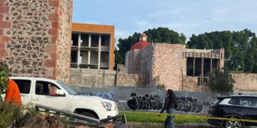 Cae viejo pirul en Calzada de Los Arcos
