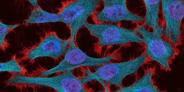 La estrategia de teragnosis contra el cáncer avanza en México hacia etapas tempranas